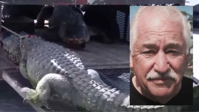 Man in Florida Drives His Truck Over an 11-foot Alligator to Protect His Neighbor From Being Attacked
