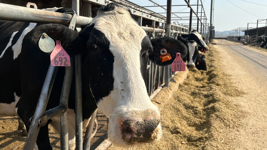 State Officials Implement Measures to Prevent Avian Influenza Transmission in Dairy Cattle
