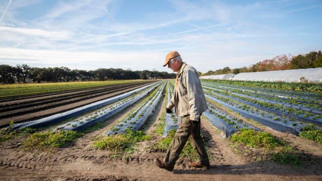 Working Farmland Protection Fund Established to Safeguard South Carolina's Agriculture!
