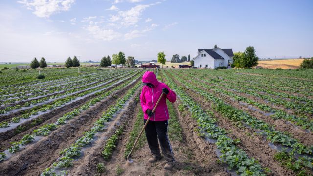Farmers in Washington State Are Suing the U.S. Department of Labour Because Their Wages Have Been Lowered
