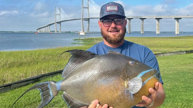 Ga Fisherman Catches Strange-looking Fish and Breaks State Record Two Months After It Was Set