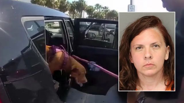 Woman From Nashville Was Arrested After Cops in Florida Rescued Her Dog From a Hot Car That Was Parked at the Beach