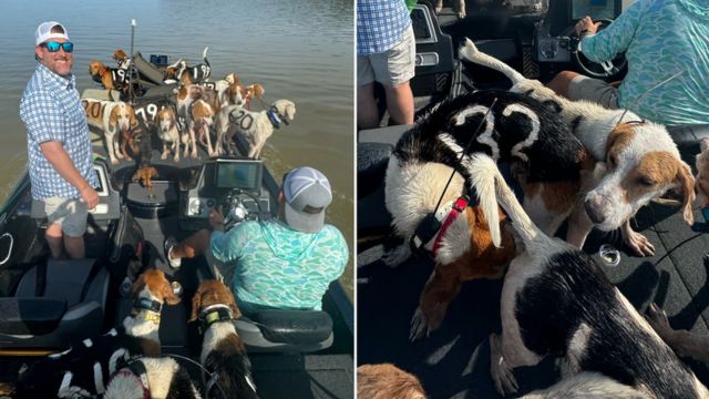 Fishermen in Mississippi Do an Amazing Thing to Save 38 Dogs Who Were Treading Water