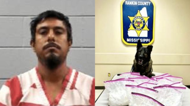 It Was During a Traffic Stop in Mississippi That 44 Pounds of Meth Were Found and a Guy From Texas Was Arrested