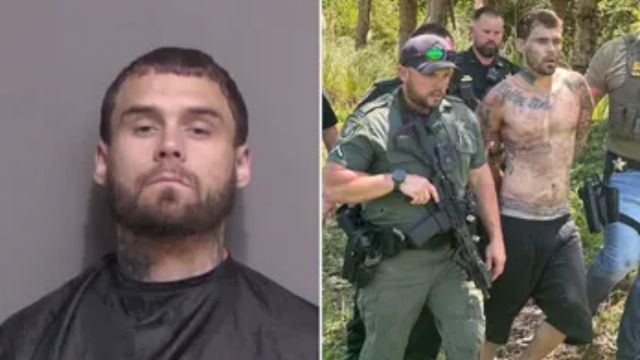 Man Who Supposedly Faked an Injury and Escaped From Prison in Florida Screams in Pain as a K-9 Pulls Him Out of Hiding in the Woods