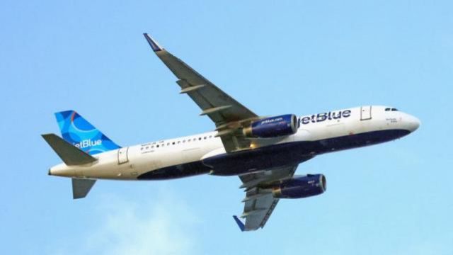 Passenger Sues JetBlue, Alleging Return of Stage 4 Cancer After Being Denied Flight with French Bulldog