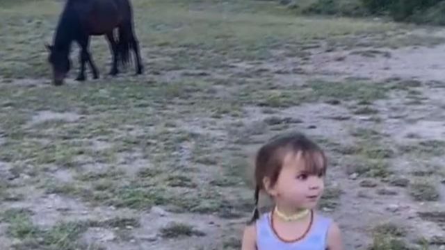 3-year-old Girl Kicked by Wild Horse in Nevada Park Mother Feared for Daughter's Life