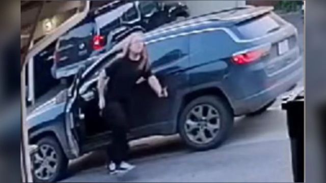 Police Are Looking for a Person Who Was Caught on Camera Damaging Cars in Denver