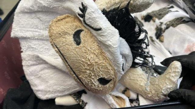 A Man From California is Said to Have Checked Bags With Clothes That Were Meth-caked and a Cow Pajama Onesie: DOJ