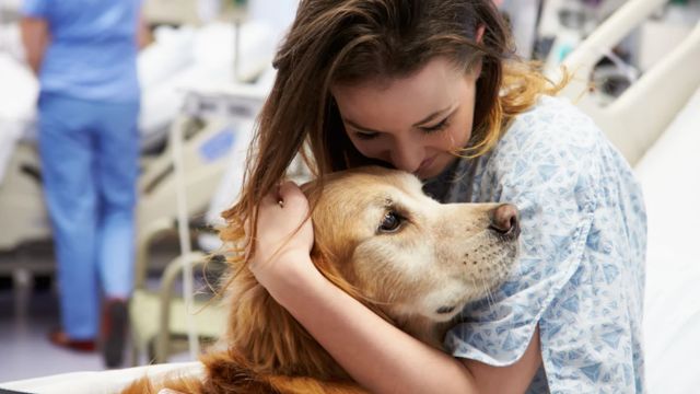 After Family’s Struggles, Bonded Dogs Look for a Second Chance at Happiness