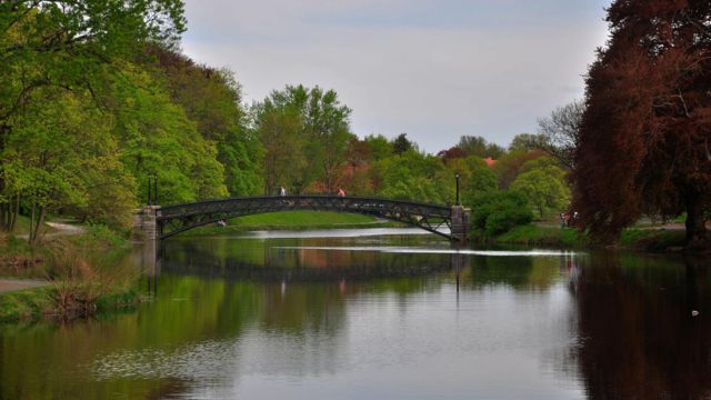 New York Park: 12-Year-Old Boy Dies, Girl Injured After Falling Through Ice