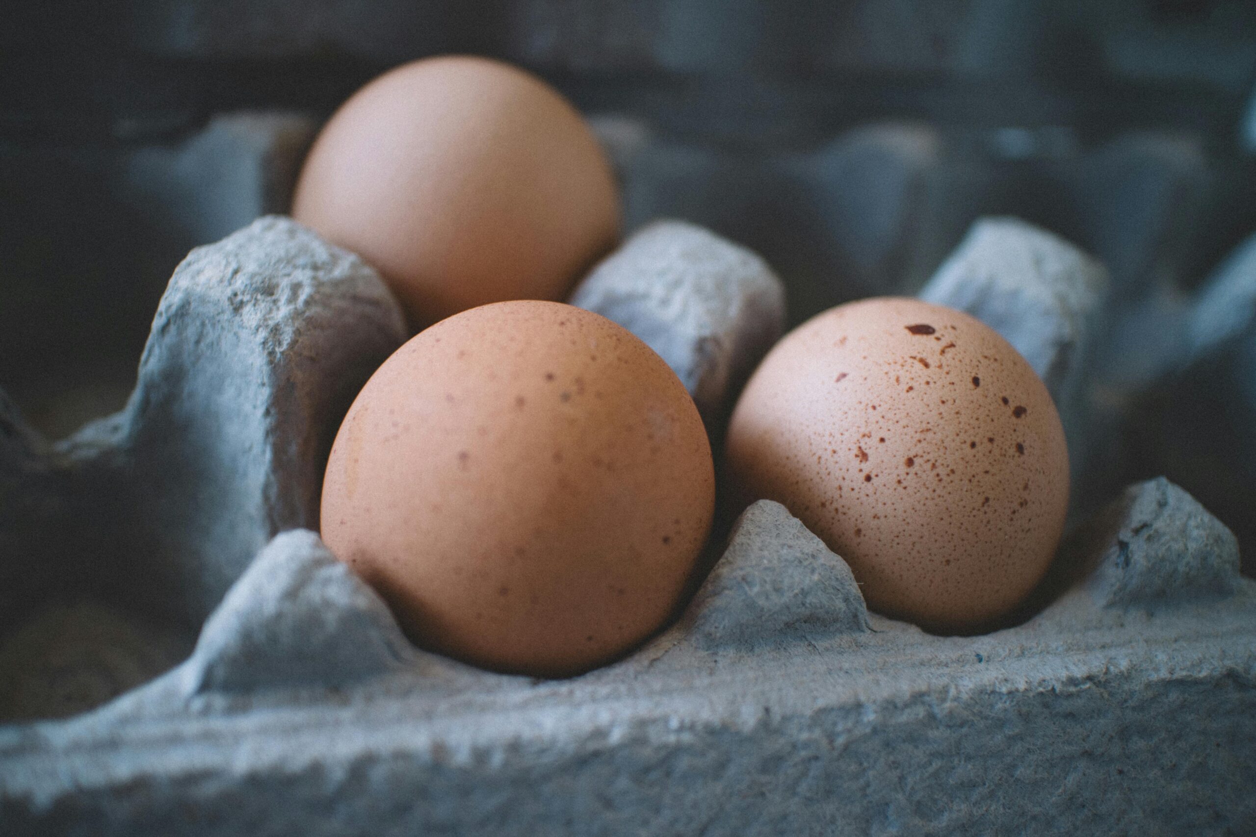 Egg Prices at Stewart’s Shops in Upstate New York Why They're Lower Than Most