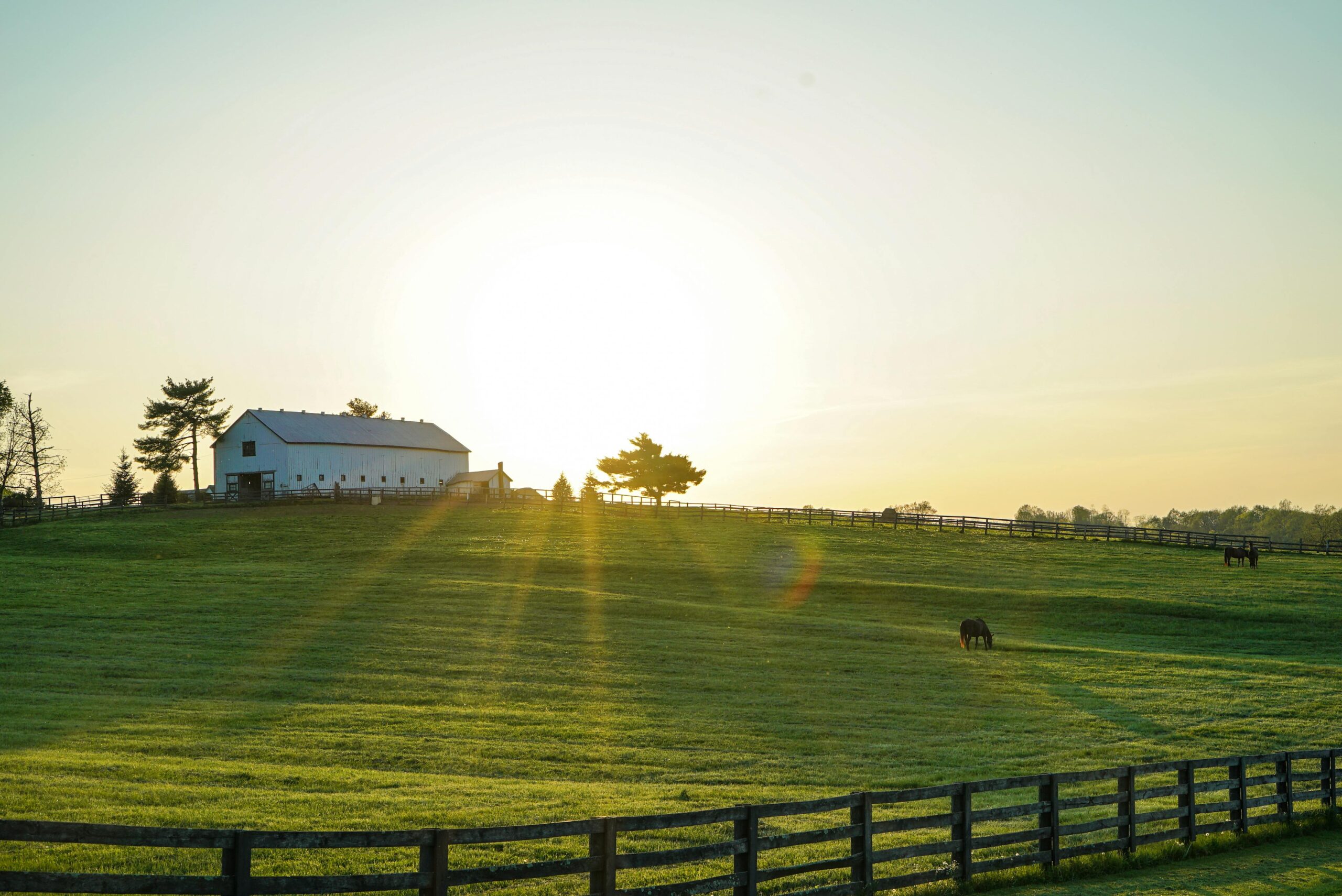 Kentucky Ranked Worst State to Retire, Florida Takes the Top Spot Again: What You Need to Know