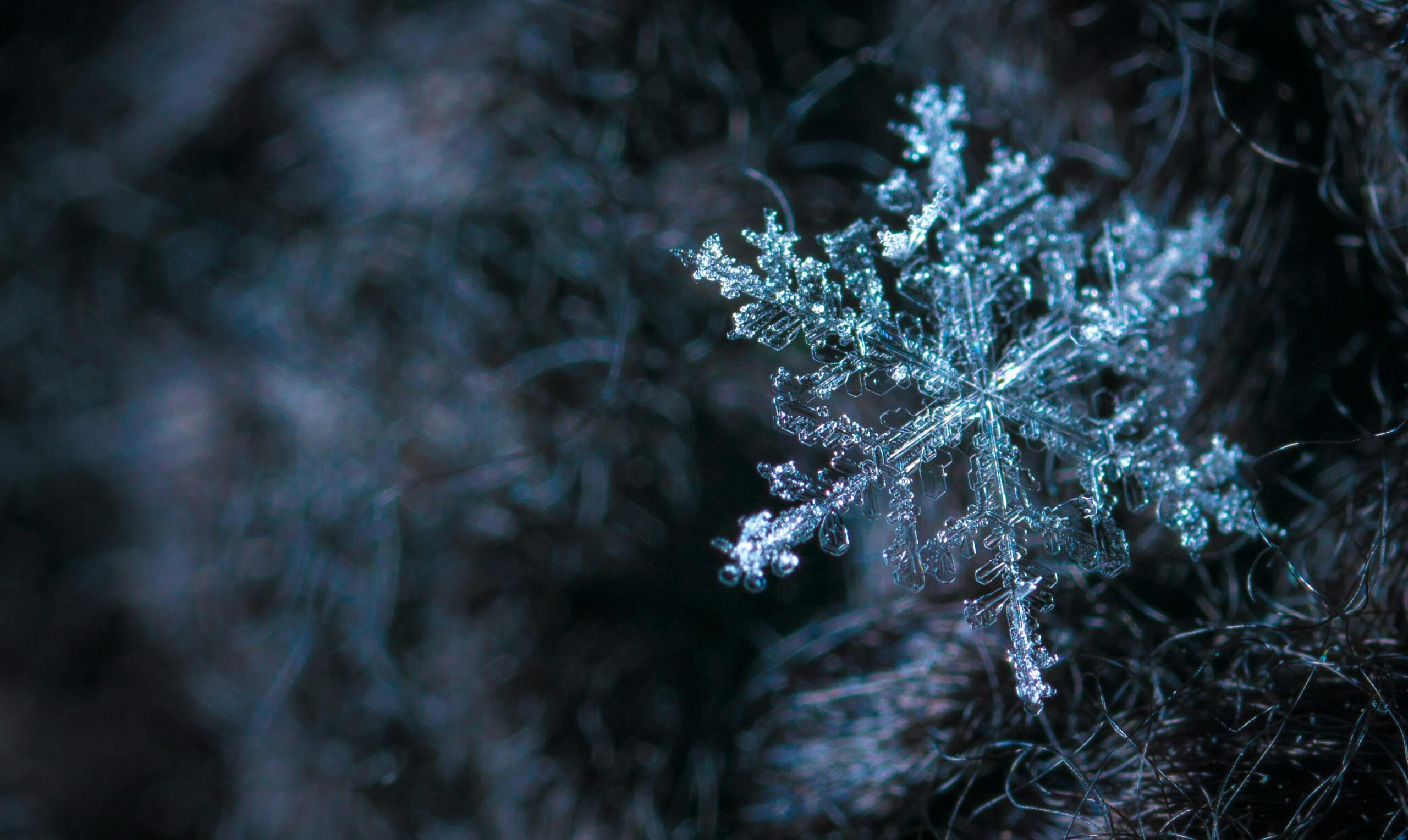 Lake Effect Snow Hits Chicago What You Need to Know