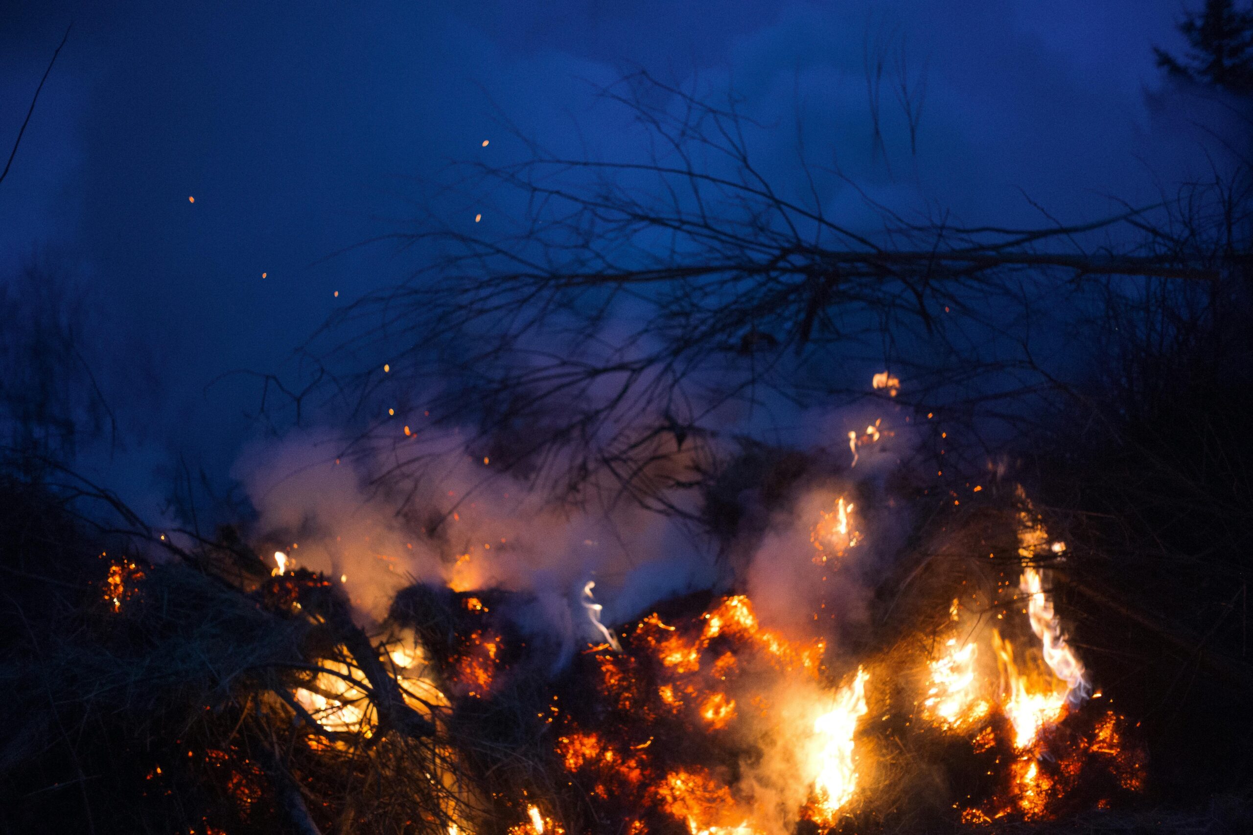 Mel Gibson’s Controversial Comments on California Wildfires Spark Debate