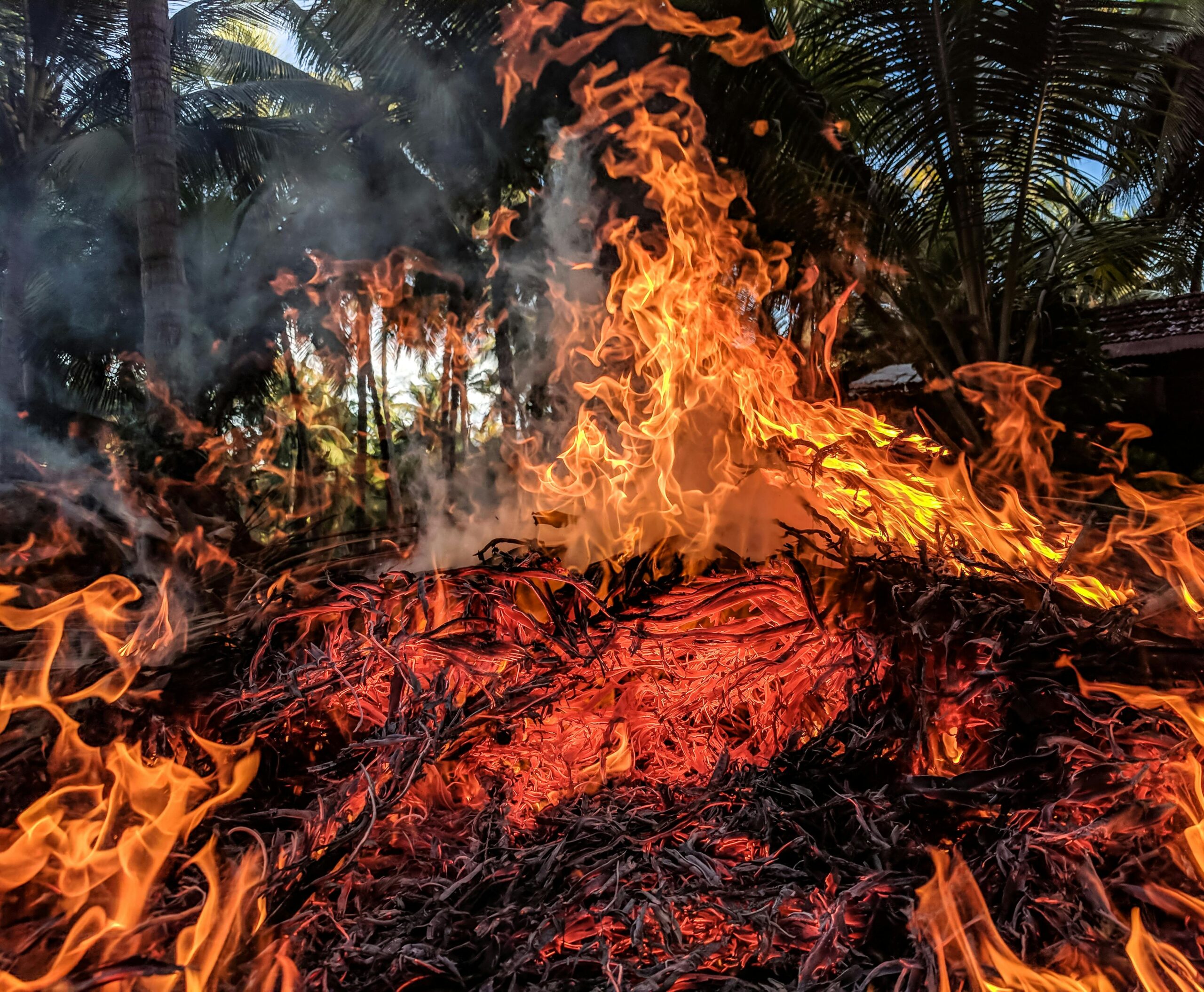 Wildfire Risks and Safety Measures for Colorado