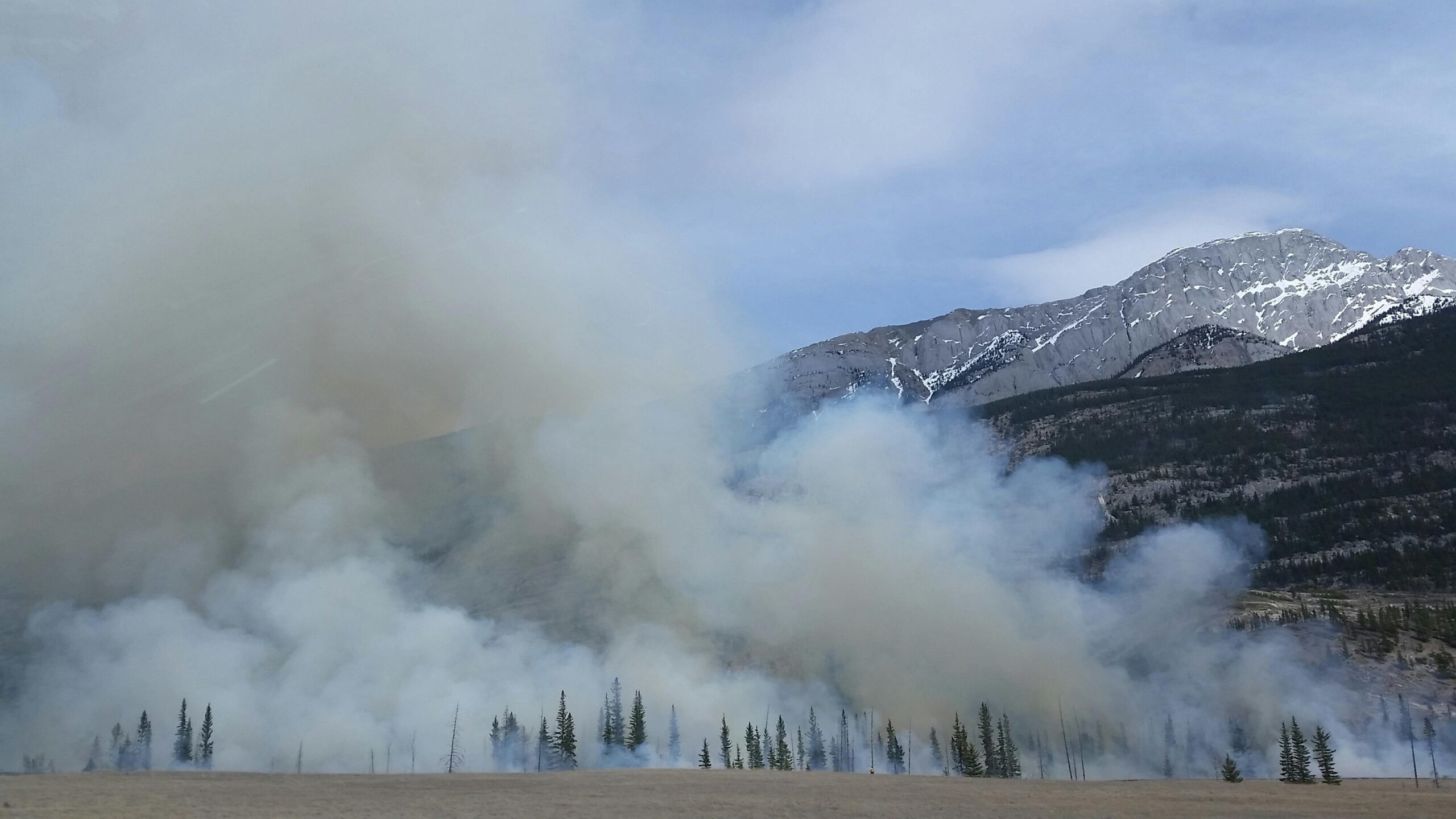 Wildfires Ravaging Southern California: What’s Causing Them?