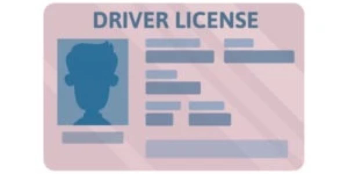 Driver’s License Renewals in New York What to Know About Real ID and New DMV Policies