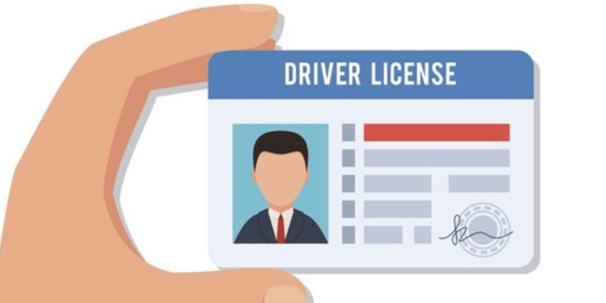 Driver’s License Renewals in New York What to Know About Real ID and New DMV Policies