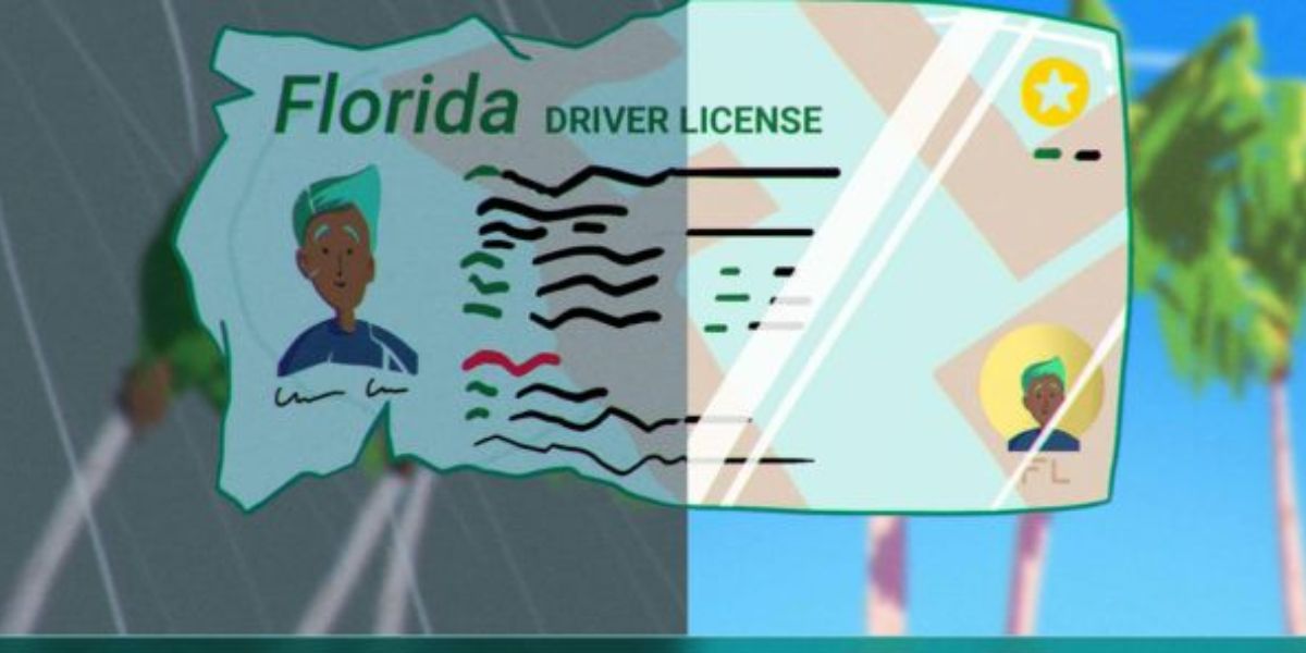 Florida Driver’s License Renewal Rules Updated What Motorists Need to Know