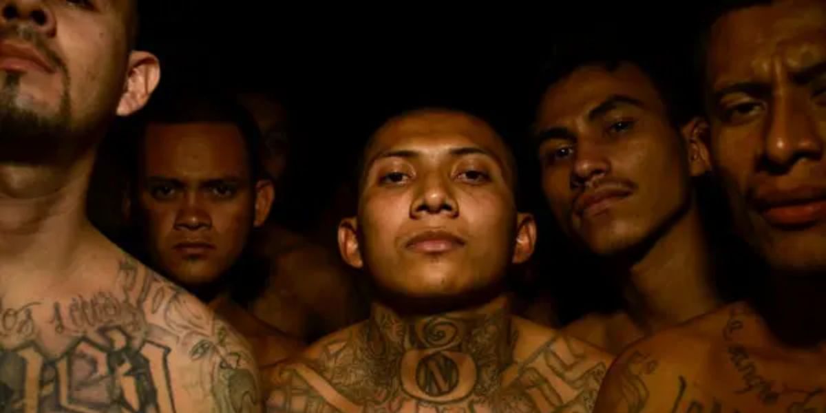 The 5 Most Dangerous Gangs Operating in California Right Now and Their Criminal Activities