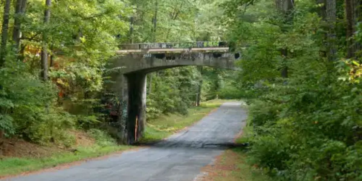 Two Haunted Roads in Virginia Where the Laws of Gravity Mysteriously Stop Working