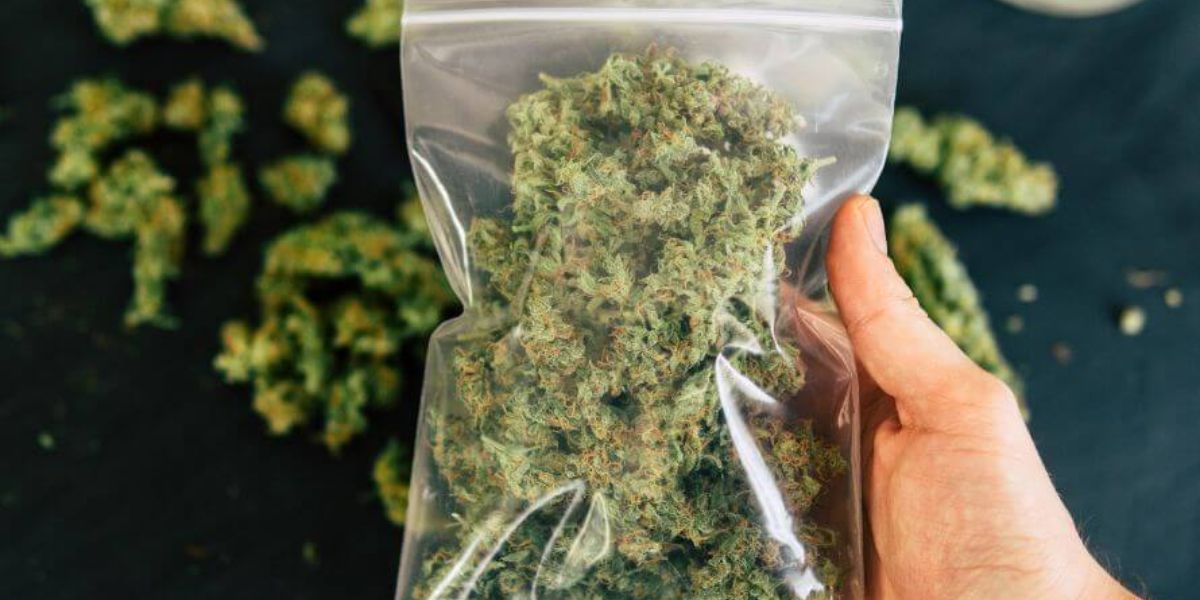 Is Legal Weed in Wyoming Causing a Rise in Traffic Accidents