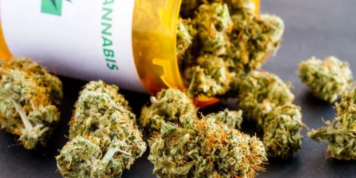Cannabis in Georgia What’s Legal, What’s Not, and Who Qualifies for Medical Use