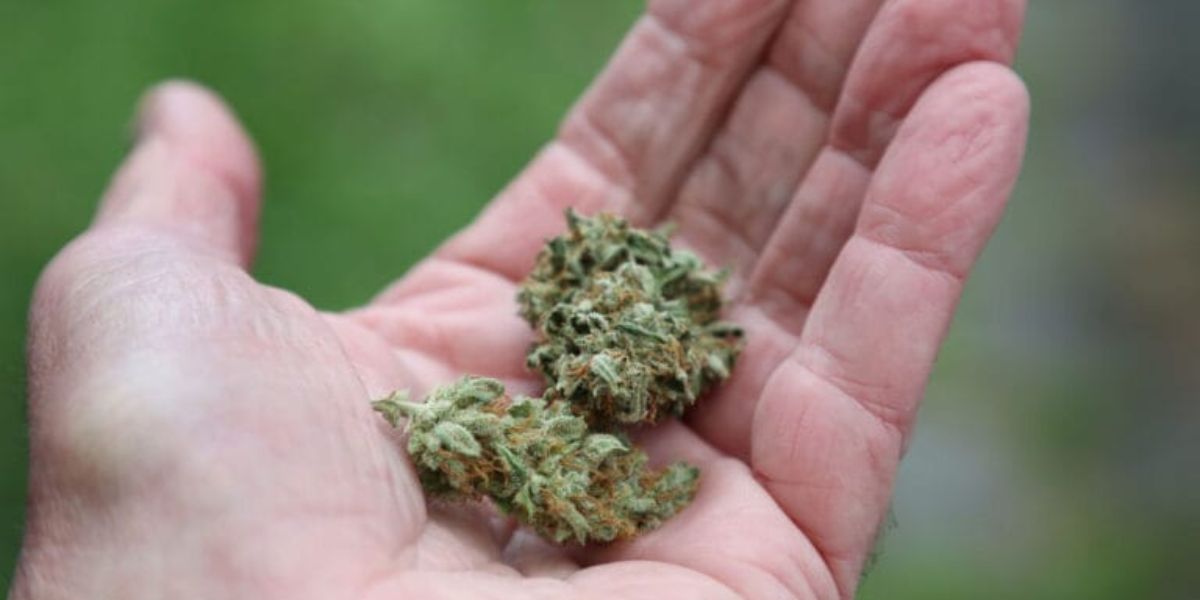 Idaho's Zero-Tolerance Policy on Cannabis Legal Implications Explained