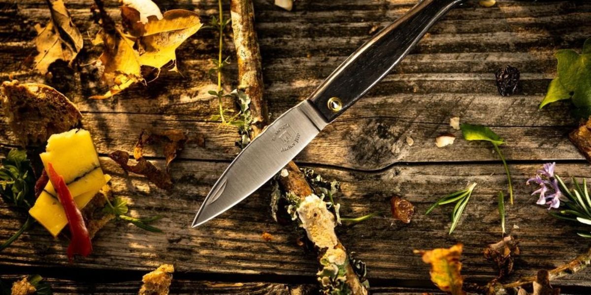 Knife Laws in Michigan Explained What You Can (and Can’t) Carry