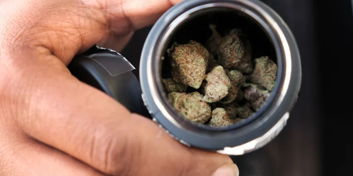 New Taste On 1 June! Can You Smoke Weed in Indiana The Truth About Medical and Recreational (Cannabis Laws)