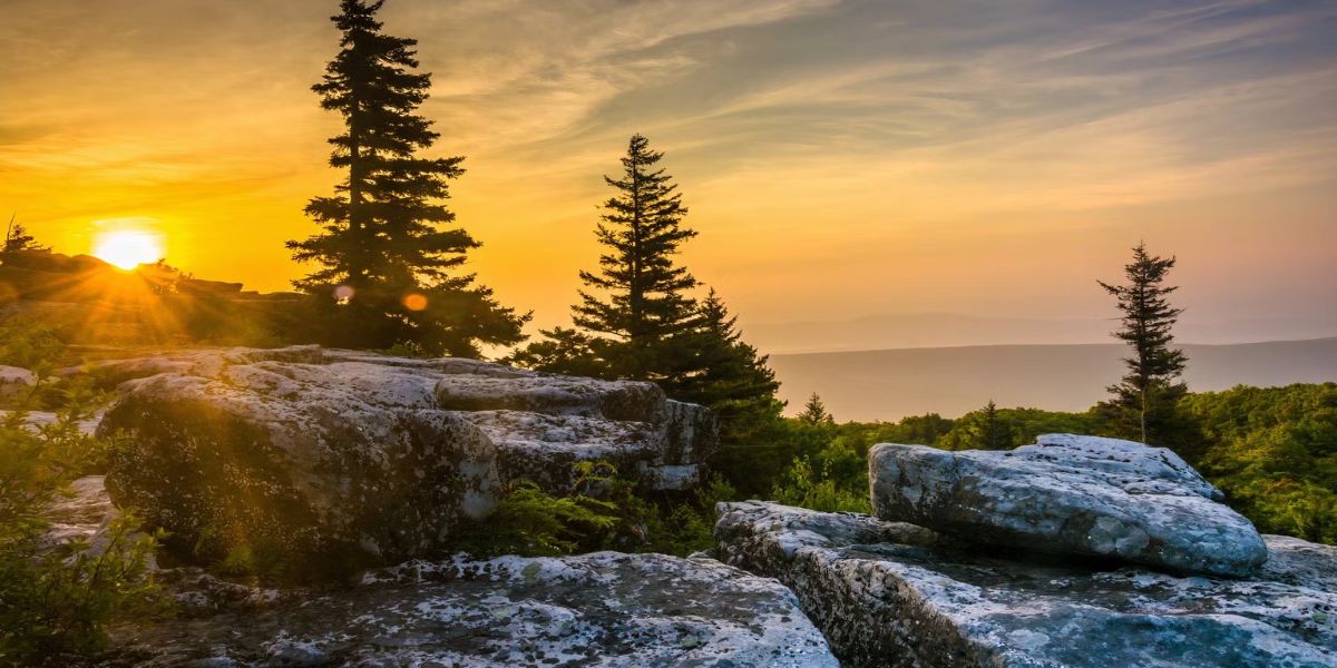 Population Drop in West Virginia These 5 Towns Are Facing Unprecedented Outmigration