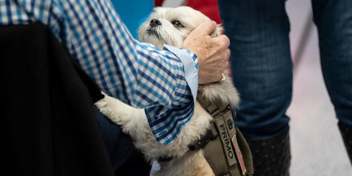 Shocking! Texas' New Pet Feeder Law What Pet Owners Should Know