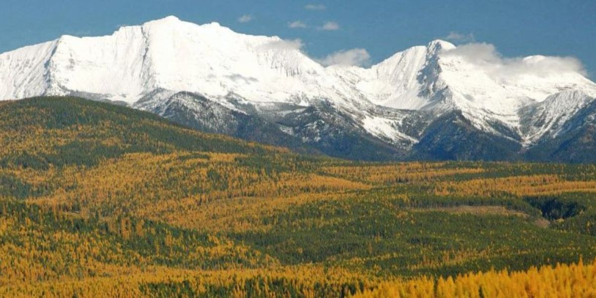 The Remarkable Great Montana Migration These 5 Towns Are Experiencing the State’s Most Drastic Population Drops