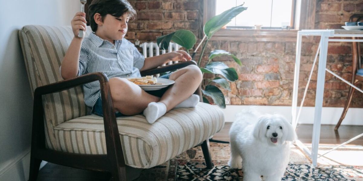 Understanding Montana’s New Pet Feeder Law What Pet Owners Must Know Before May 31