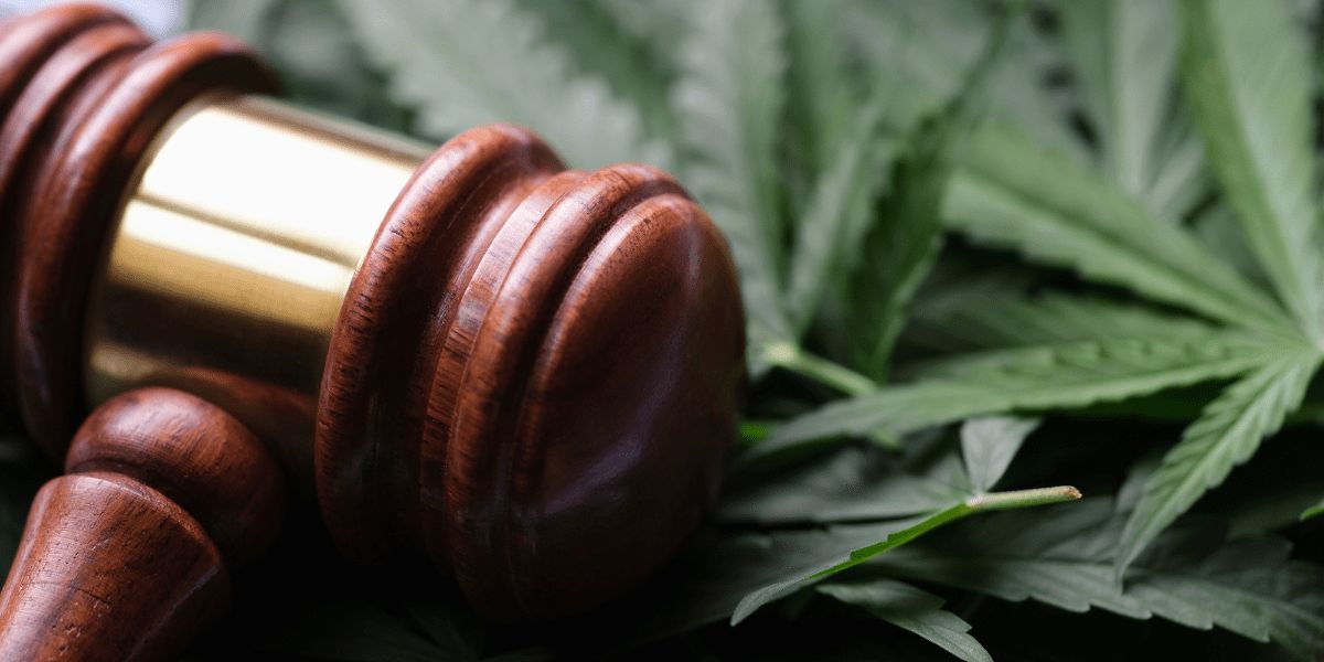 Vermont Cannabis Guide Legal Possession Limits, Sales Regulations, and Consumption Rules Explained (1)