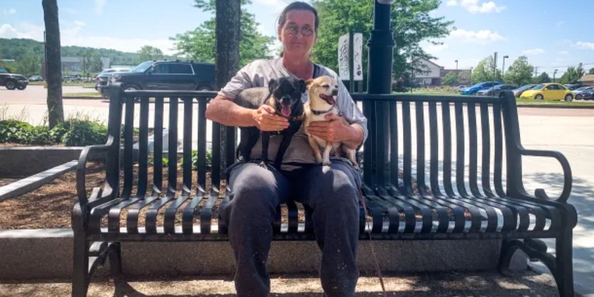 Vermont Introduces New Pet Feeder Regulations — Everything You Need to Know by July 1