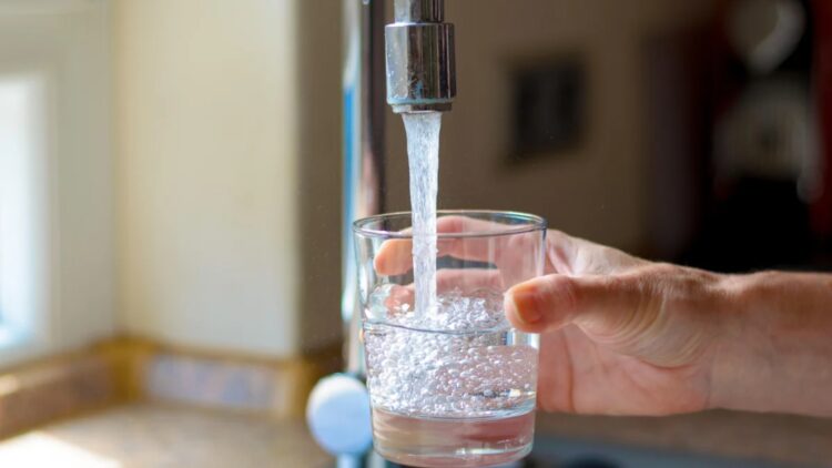 Bad news – microplastics are found to damage the gut microbiome and could be behind multiple diseases