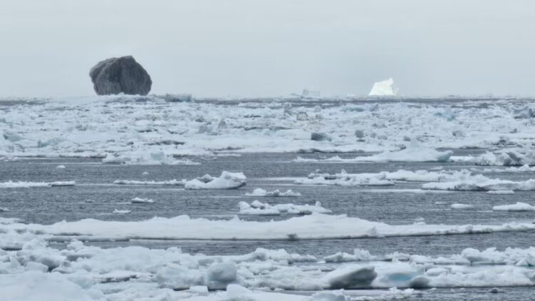 It’s official – a black iceberg appears in the ocean and theories about its unusual color keep multiplying