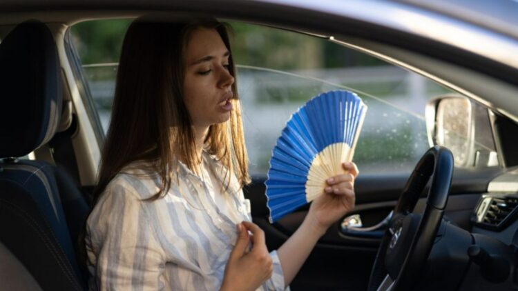 Confirmed—this simple Japanese trick cools your car in record time and is even recommended by automotive climate control experts