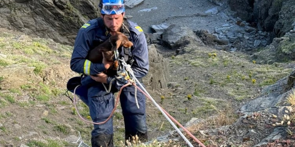 Dog Rescued by Coastguard After Falling Over Cliffs at Douglas’ Marine Drive