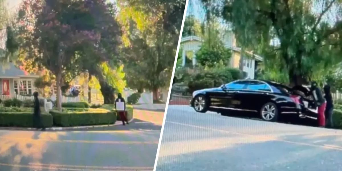 Tesla Cameras Catch Suspect During Home Robbery in Woodland Hills