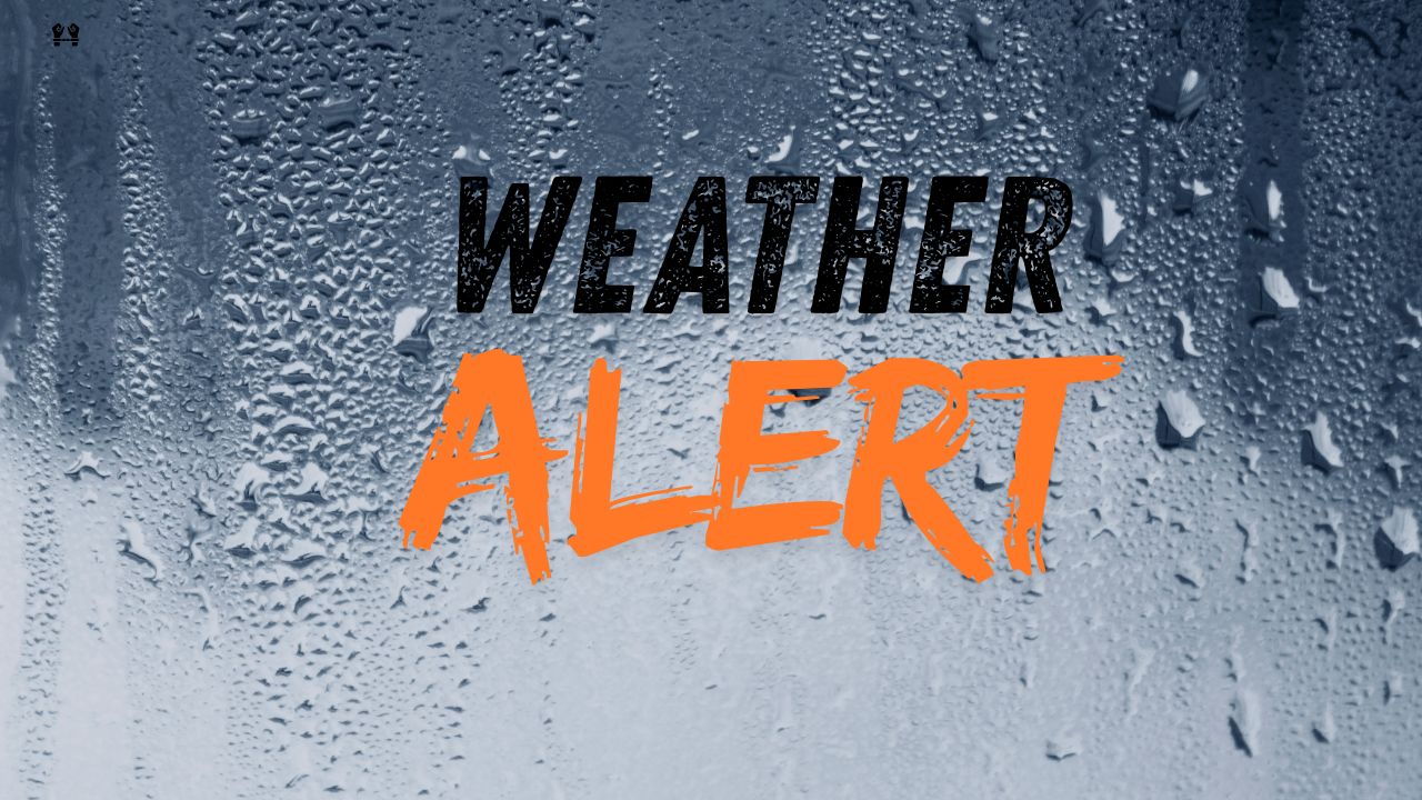 Alabama Dense Fog Advisory: Hazardous Travel Conditions Expected Until 9 AM Saturday