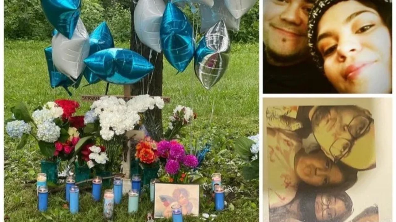 Illinois Man, 23, Pleads Guilty to Second-Degree Murder After Shooting Father Playing Pokémon Go