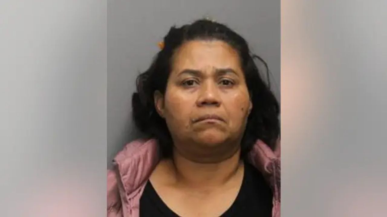 Illinois Woman Charged With Attempted Murder After Stabbing Incident, Police Say