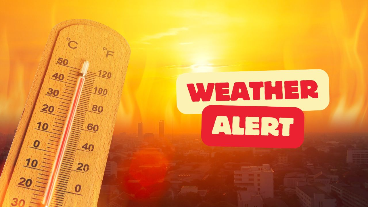 Massachusetts Braces for Scorching Heat Wave With Temperatures Nearing 100 Degrees in Some Areas