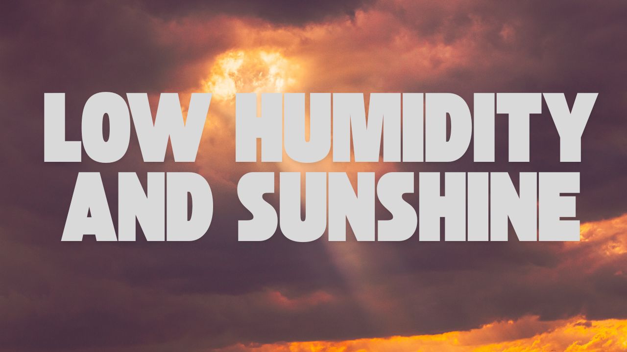 New York's Weather Break: Low Humidity and Sunshine Before Summer Heat Returns Next Week