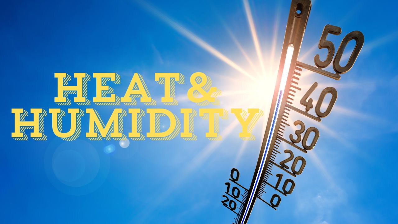 Philadelphia Braces for Return of Heat and Humidity with Mid-Week Pop-Up Storm Chances