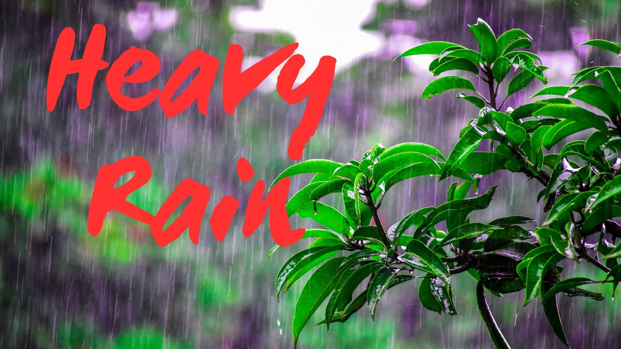 Tampa Bay Weather Alert: Afternoon Storms and Heavy Rain Expected Through Friday Evening
