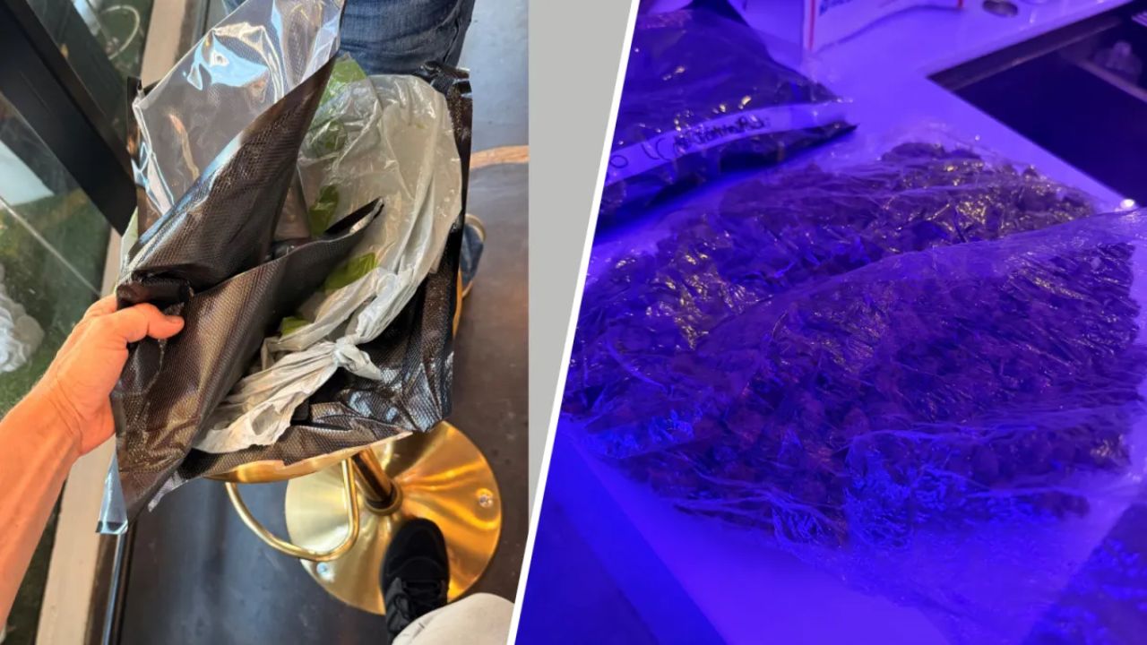 West Hollywood Business Owner Turns in Parcel of Marijuana Shipped to His Store